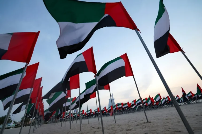الناتج المحلي للإمارات في 2024 ينمو بنسبة 4% مدفوعًا بهذه القطاعات